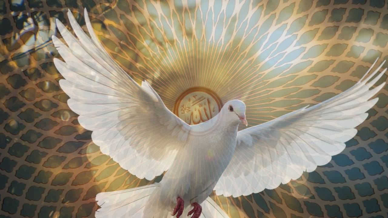 White Dove frequency September energy blueprint