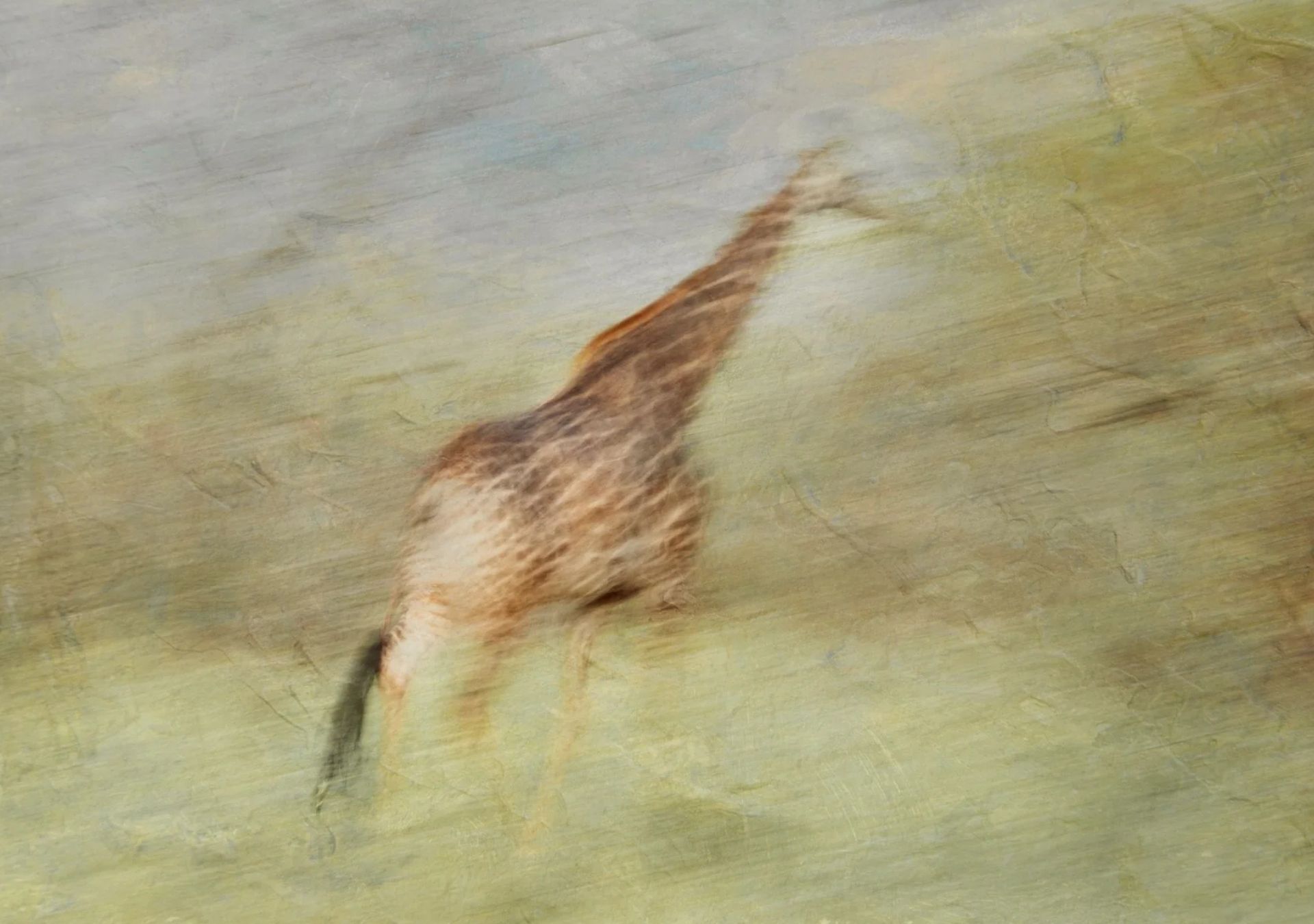A giraffe rendered as a soft, painterly abstract, from the Wildlife Art Photography Workshop at Marloth Park