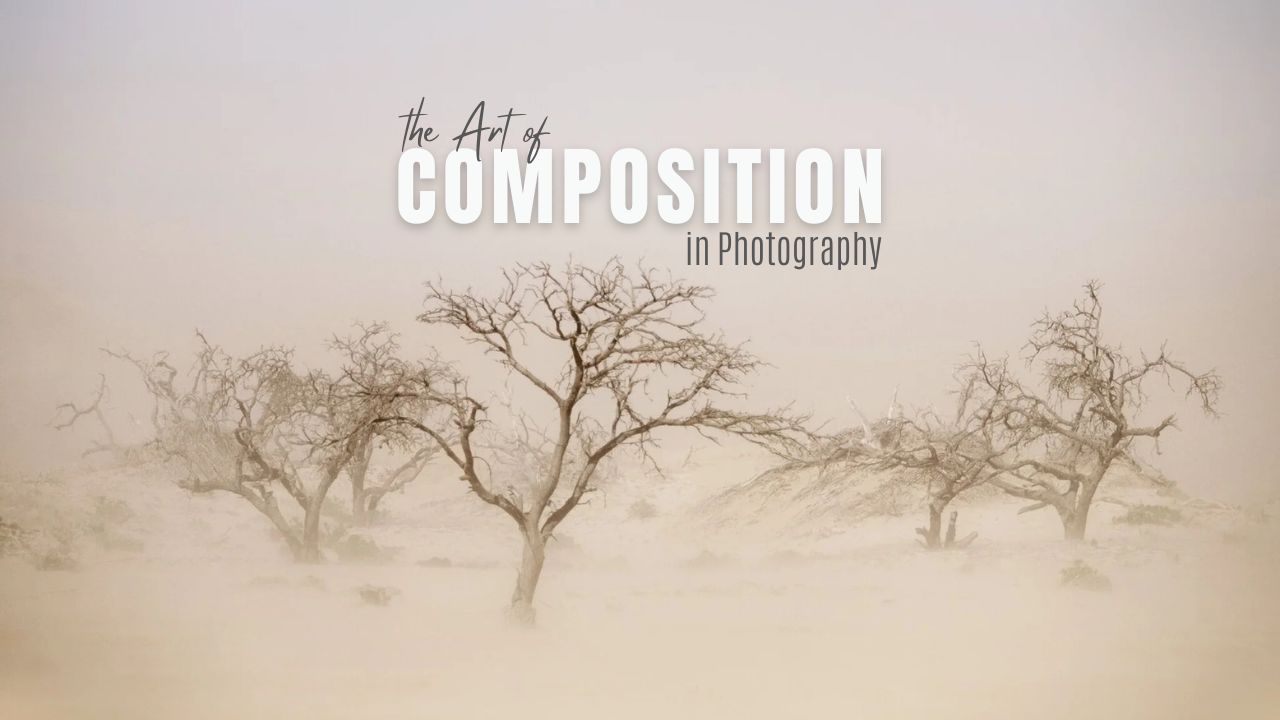The Art of Composition — Advanced Composition Course