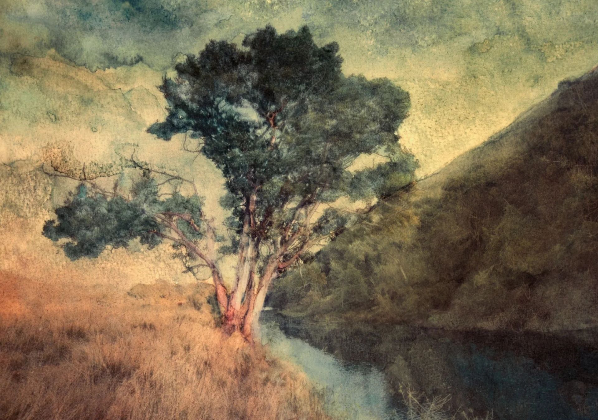 A tree in the Overberg landscape near Swellendam, photographed and worked by hand at the Art Photography Retreat