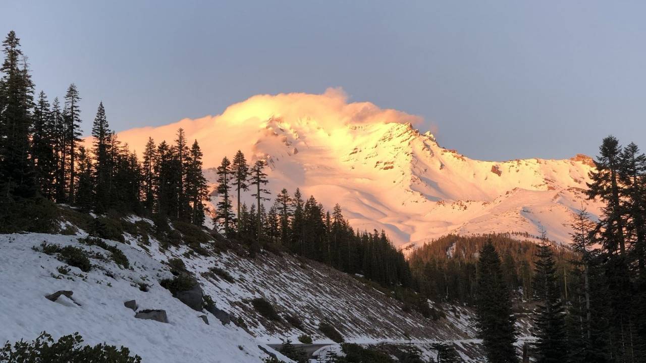 Mount Shasta glowing gold and pink in evening alpenglow, framed by snowy slopes and dark pines