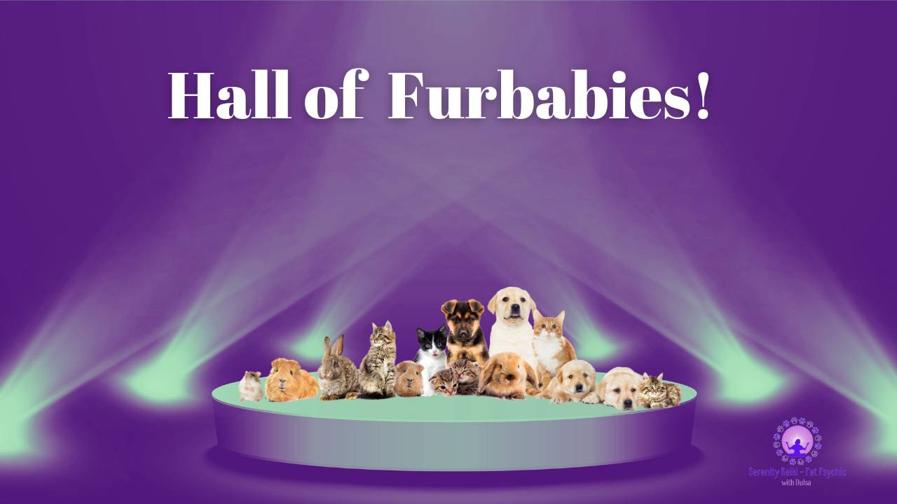 Hall of Furbabies