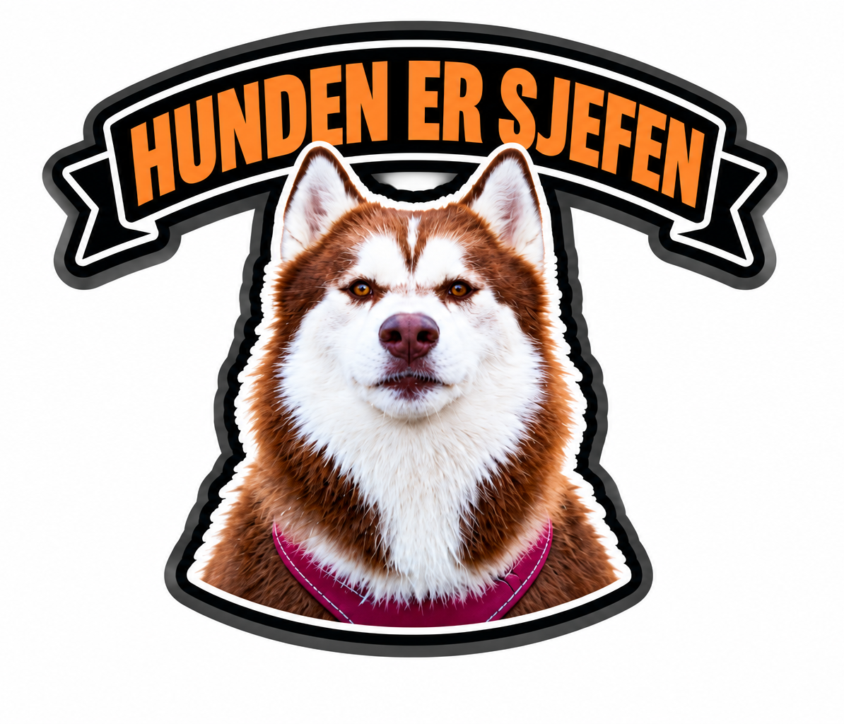Hunden er Sjefen
