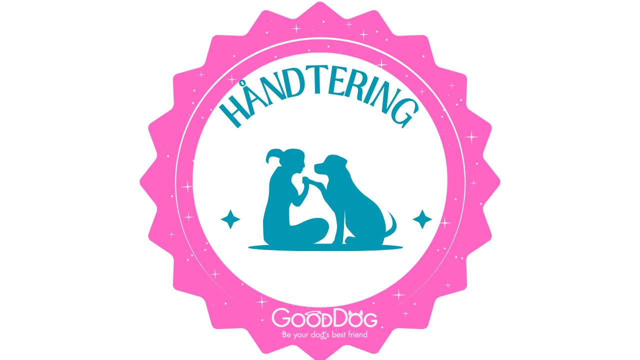 Håndtering