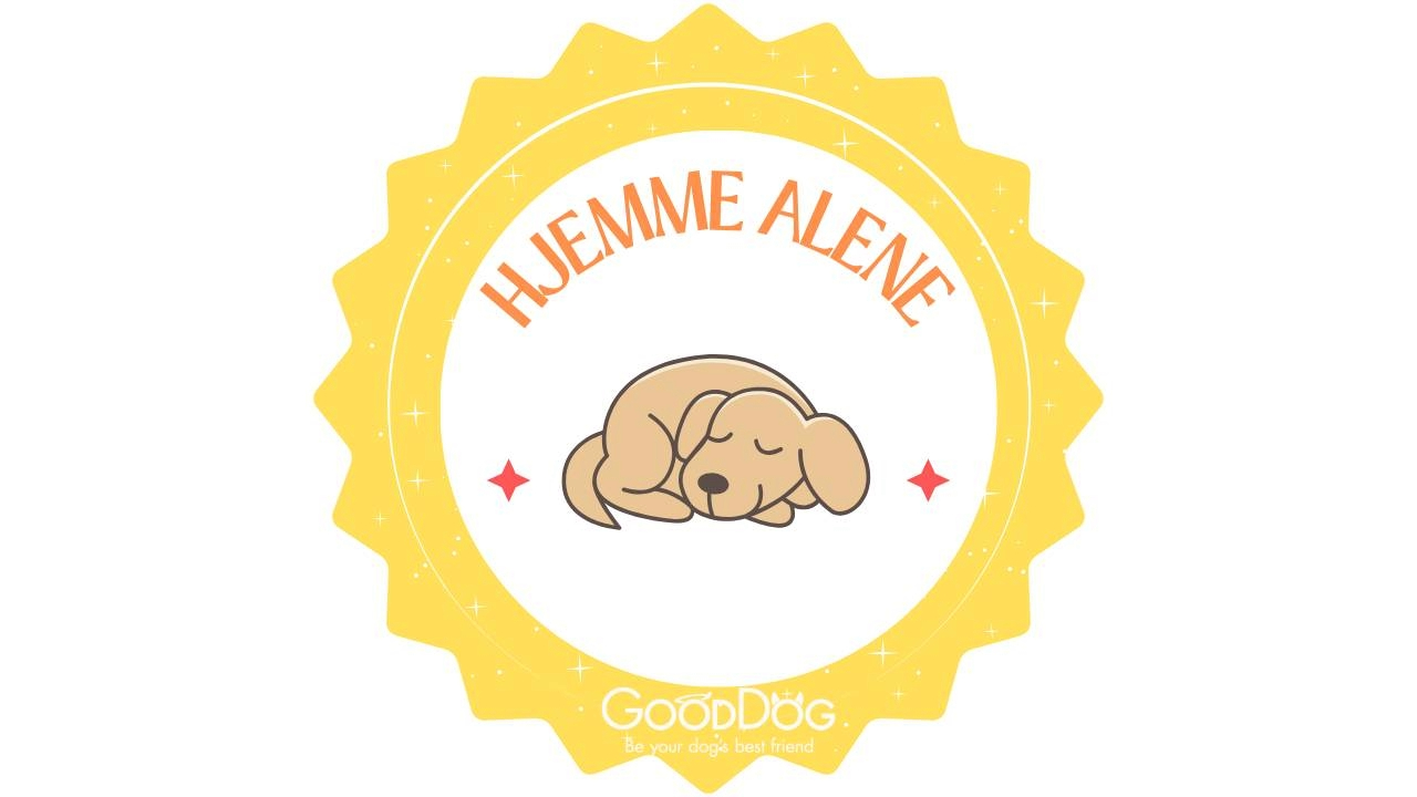 Hjemme Alene
