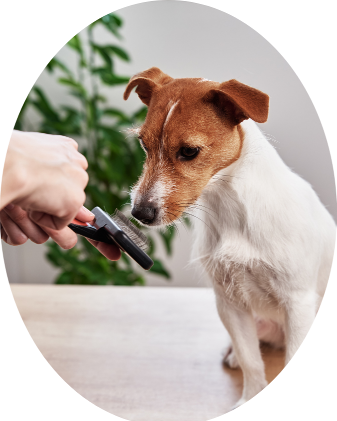 PuppyBrush