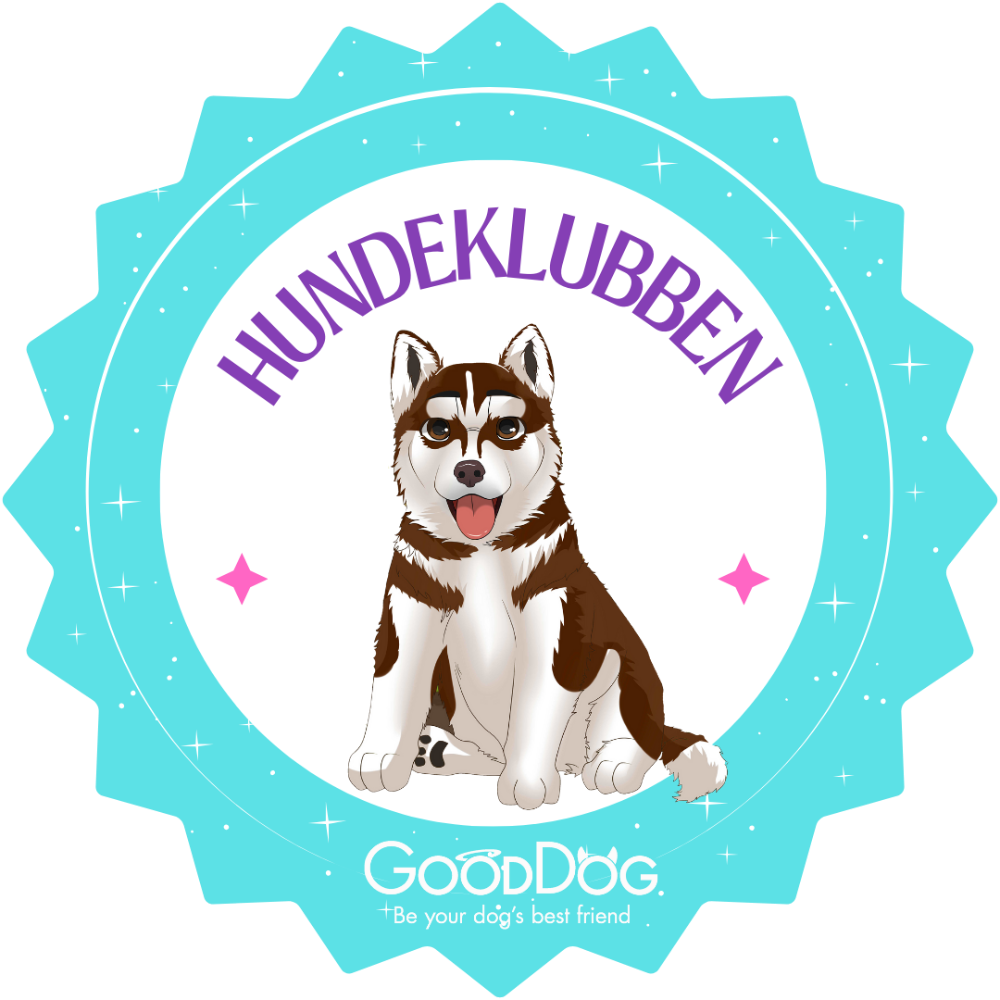 Header Logo