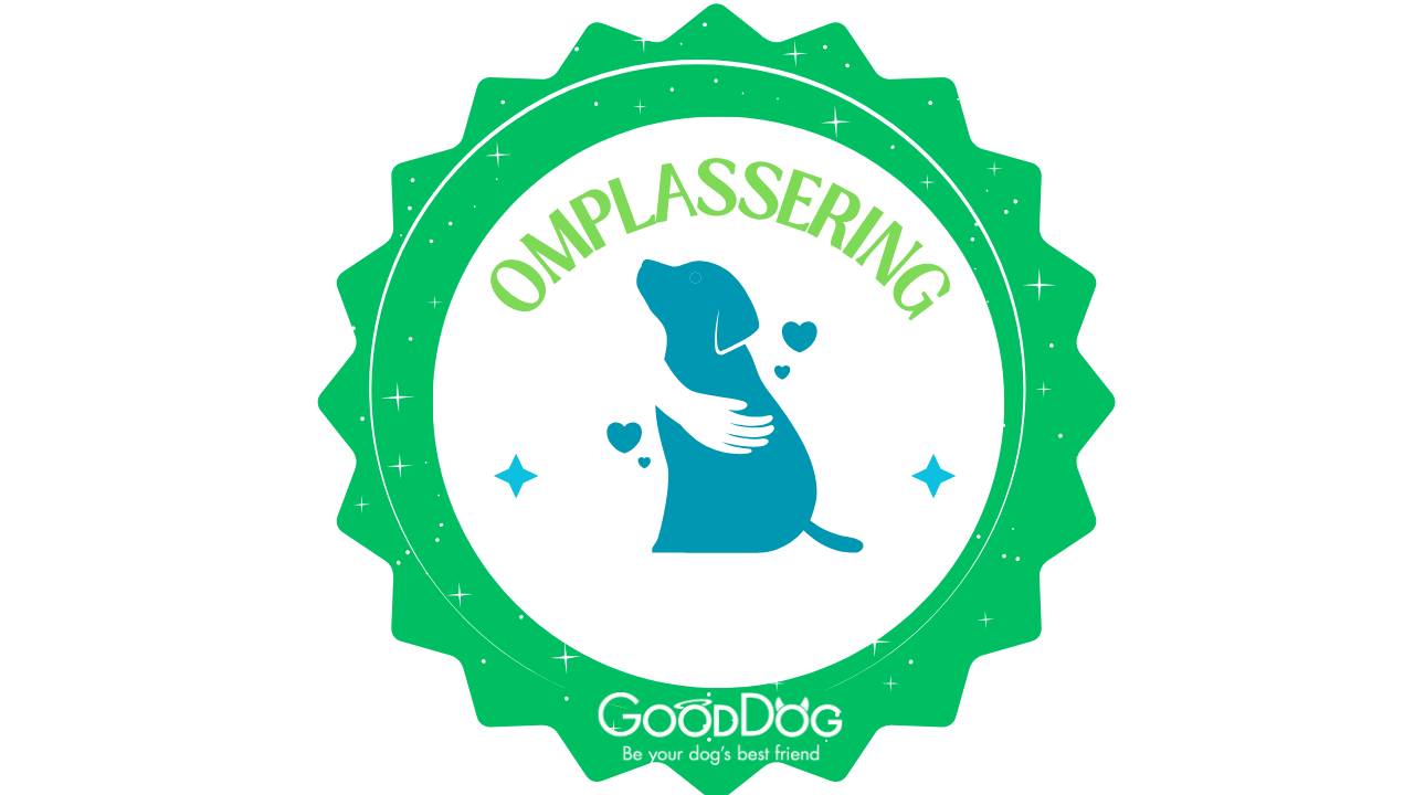 Omplassering