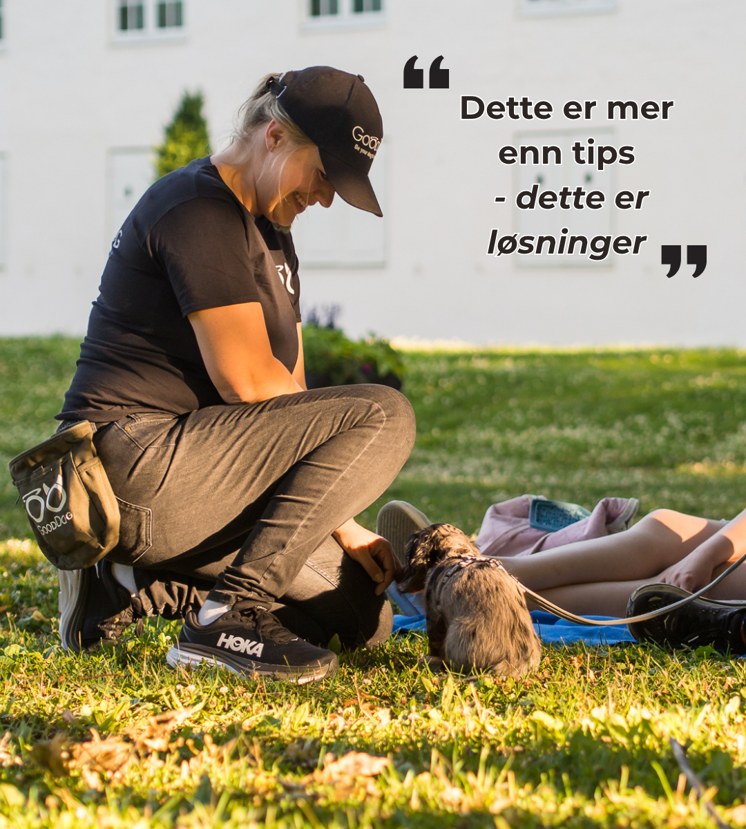 Ida och Valp