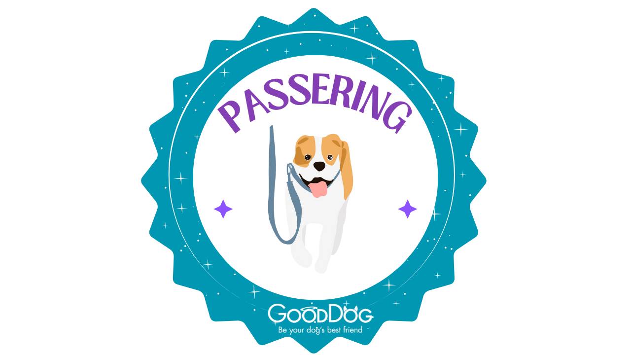 Passering