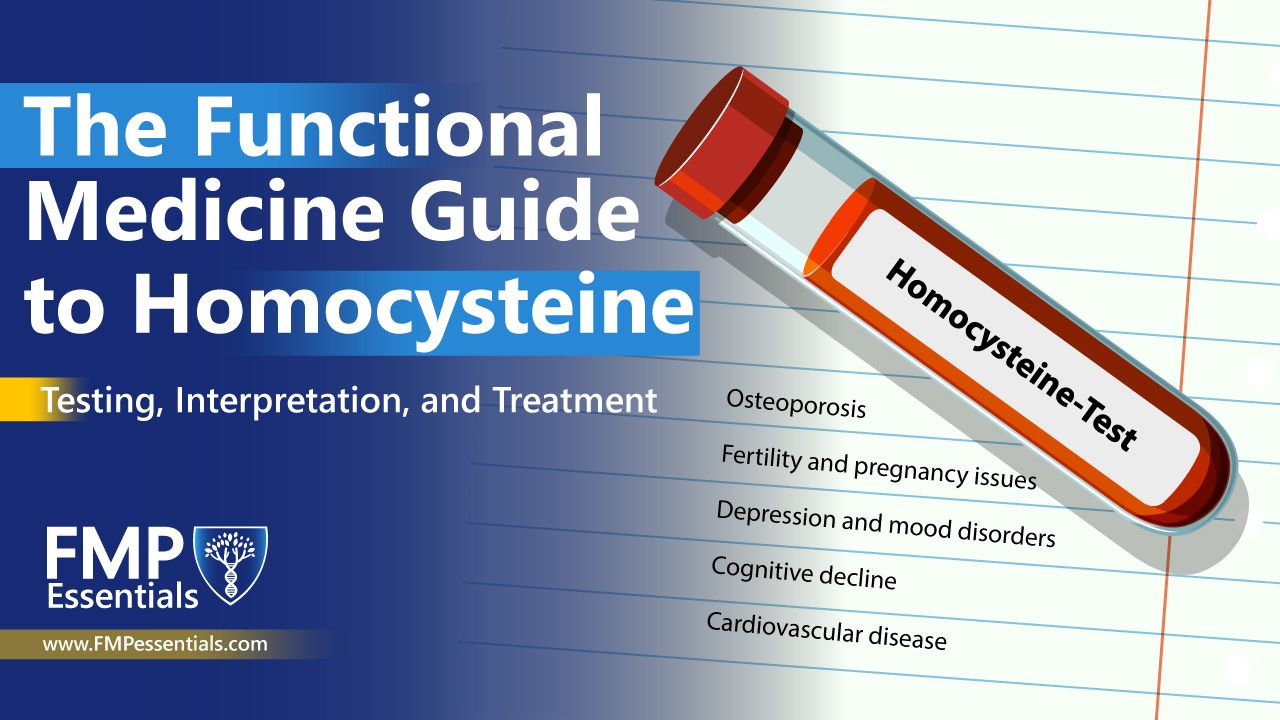 Infographic depicting health conditions associated with high homocysteine levels. A central circle labeled “Homocysteine” is connected by lines to icons representing depression (sad face), cardiovascular disease (brain inside head), infertility (pregnant figure with fetus), and osteoporosis (brittle bone). Set on a teal background with clean, flat-style graphics.