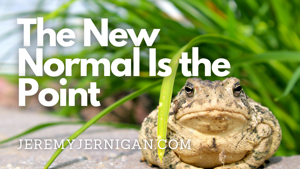 "The New Normal Is the Point" blog title over a toad in grass, a post on quiet ICE arrests, the boiling frog metaphor, and moral attention