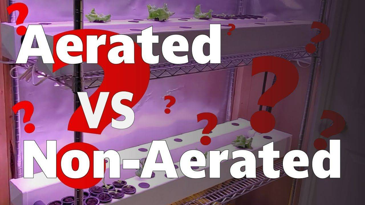 Is Aeration Necessary for Hydroponics?