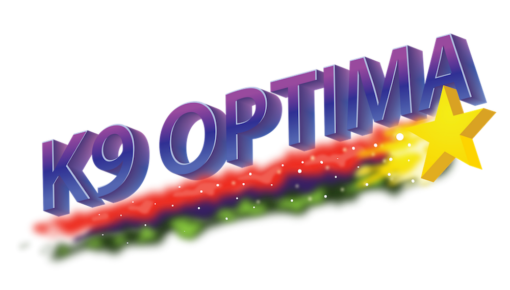 Header Logo