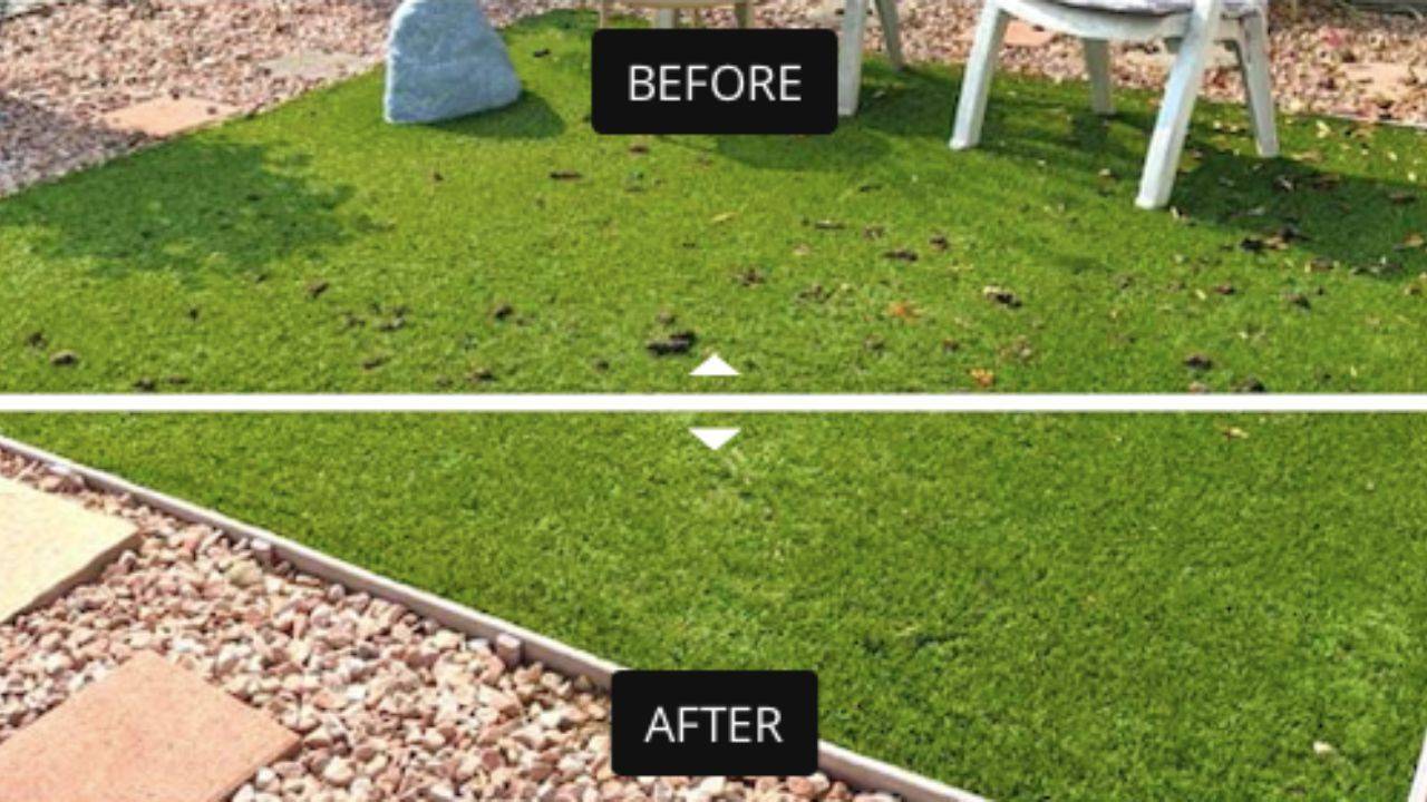 How Much Does a Pooper Scooper Service Cost in Polk County, Florida?