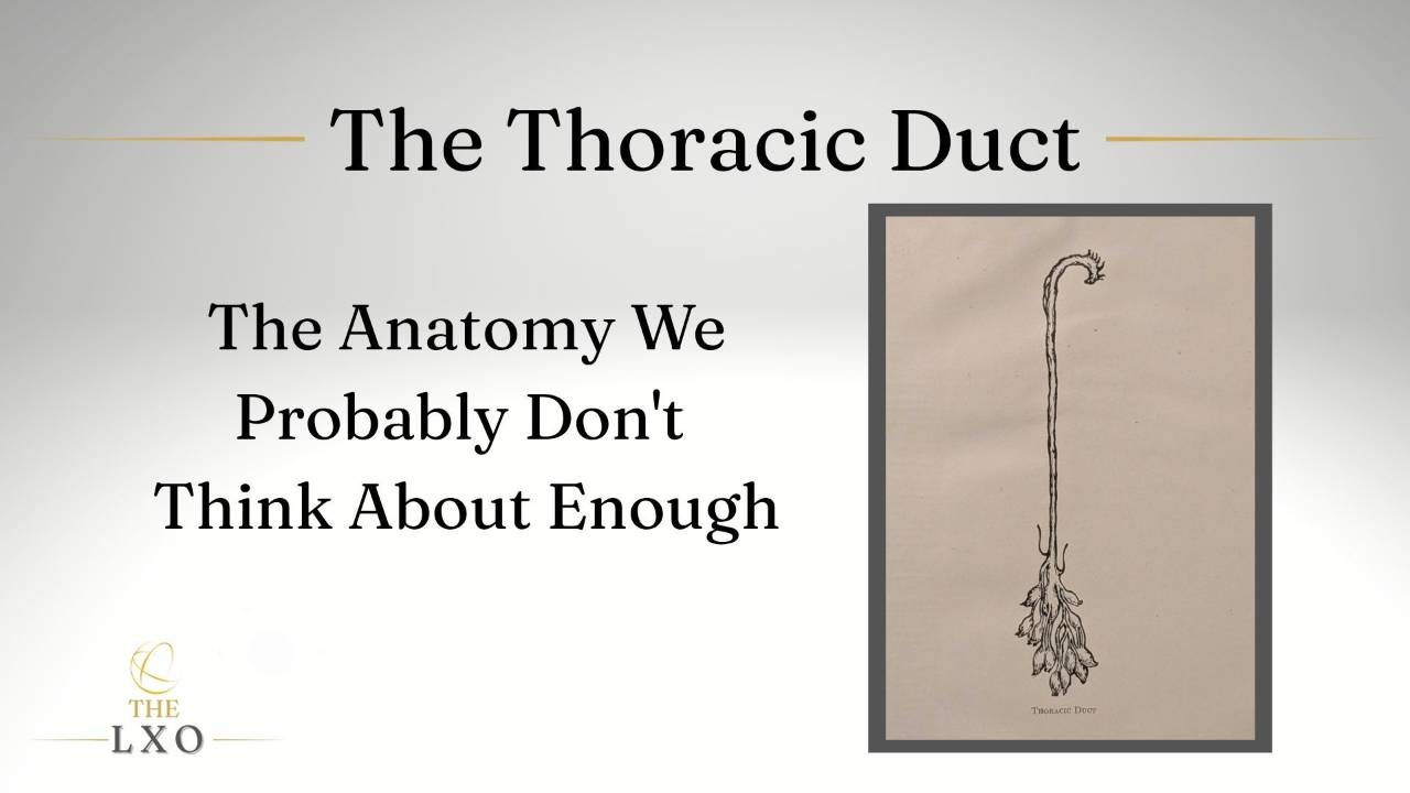 The Thoracic Duct