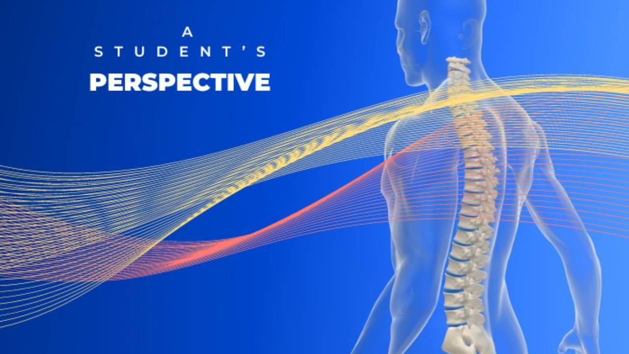 A Student's Perspective