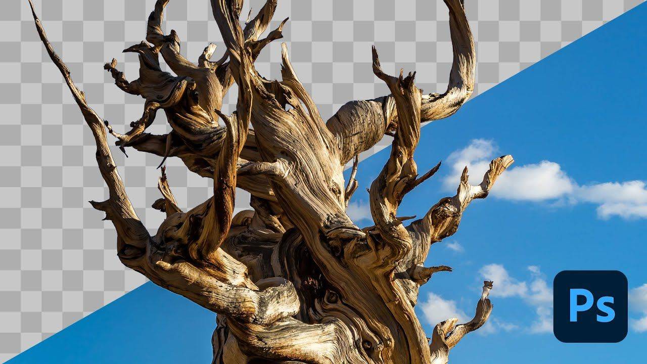 How to Remove a Background in Tutorial