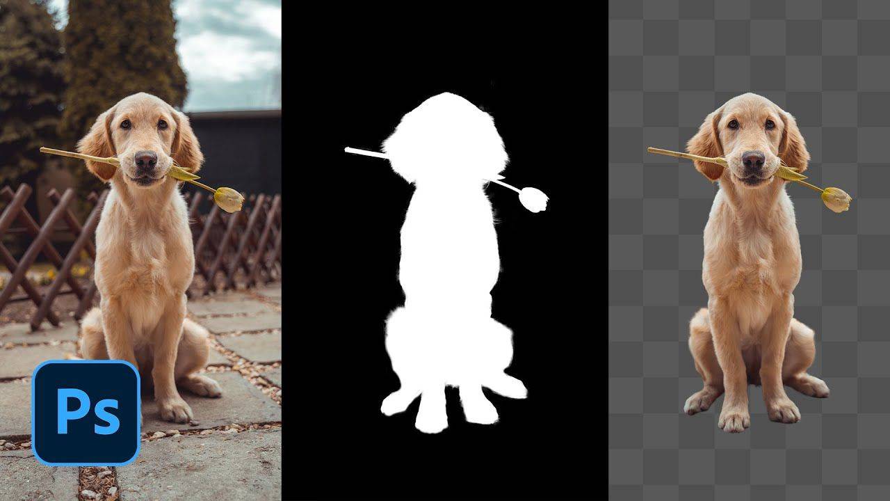 6 Tips and Tricks for Masking Tutorial