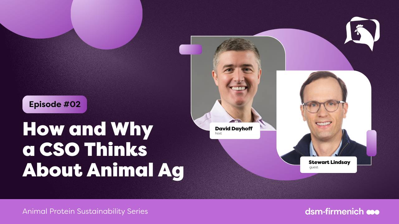 Stewart Lindsay Sustainability & Food Value Chain APS Series