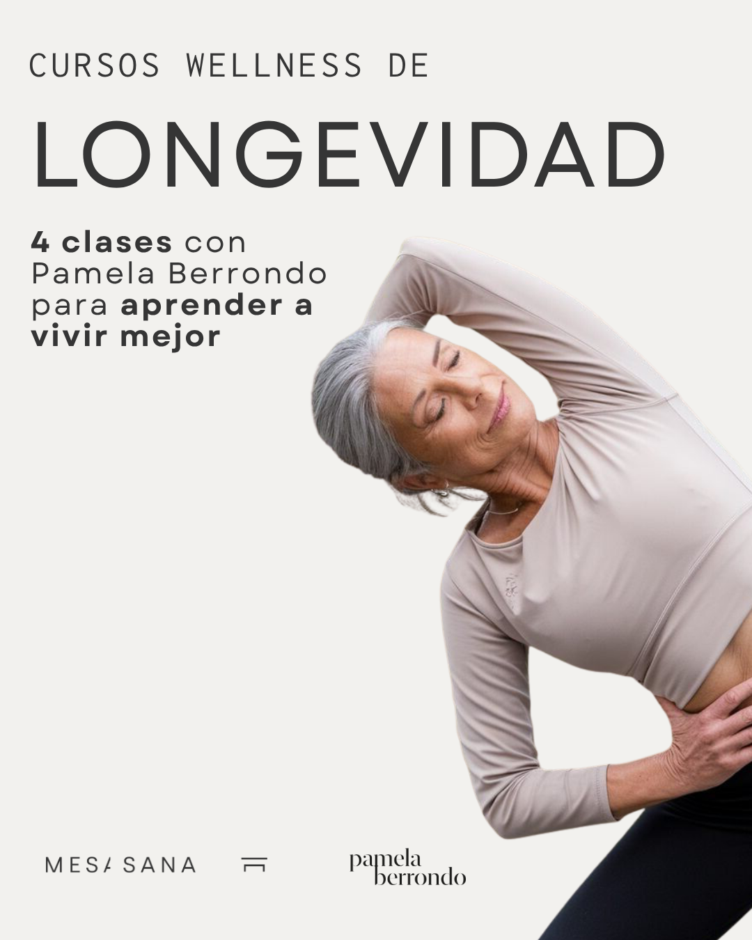 Contenido nuevo 2