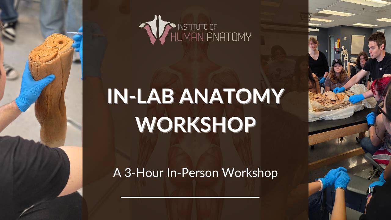 IOHA In-Person Anatomy Lab Workshop