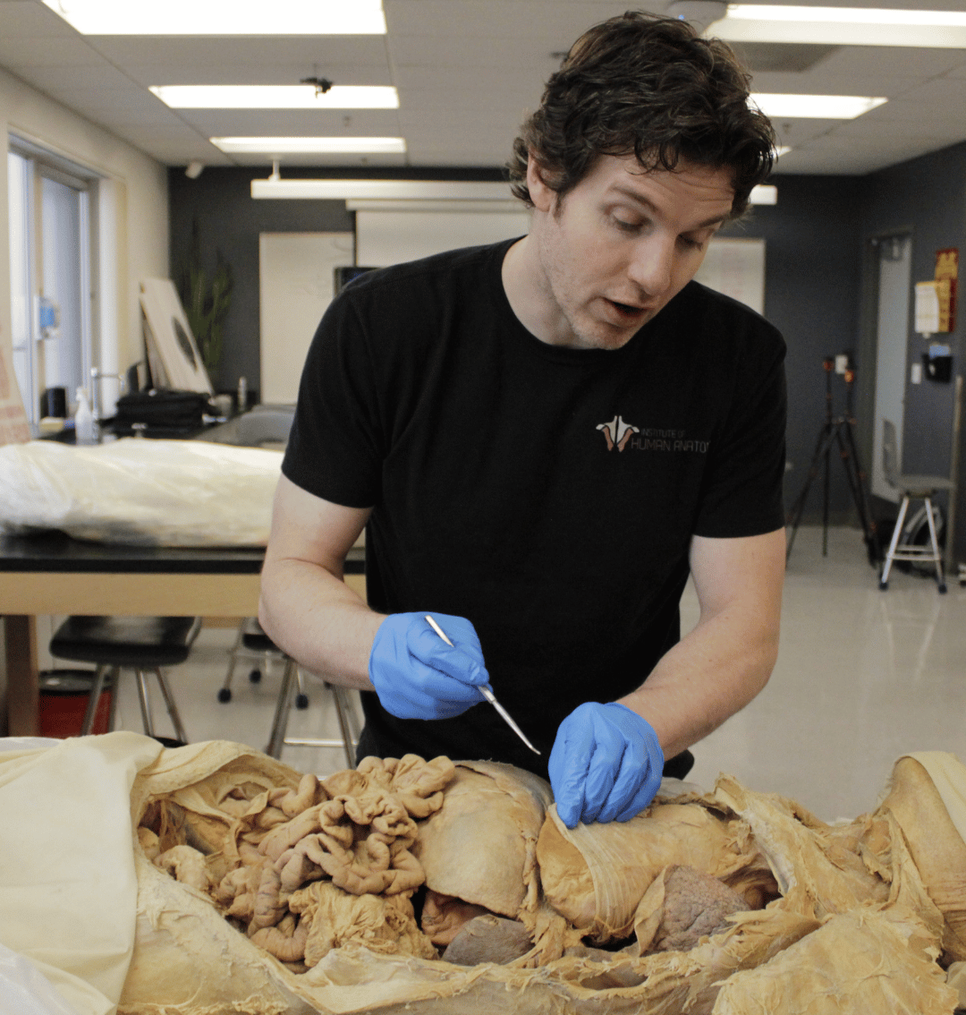 Institute of Human Anatomy Lab - Live Broadcast