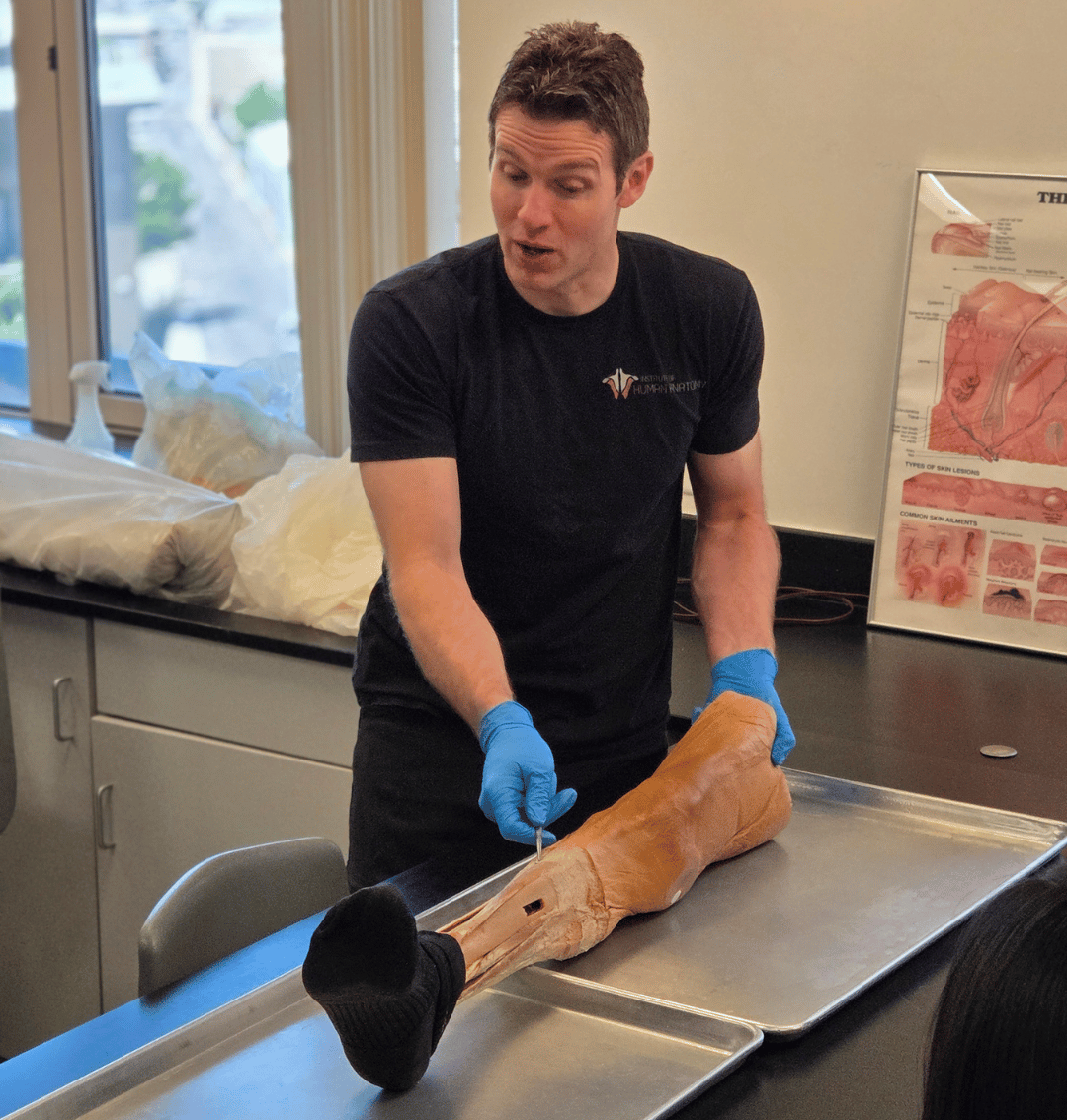 Institute of Human Anatomy Lab - Live Broadcast