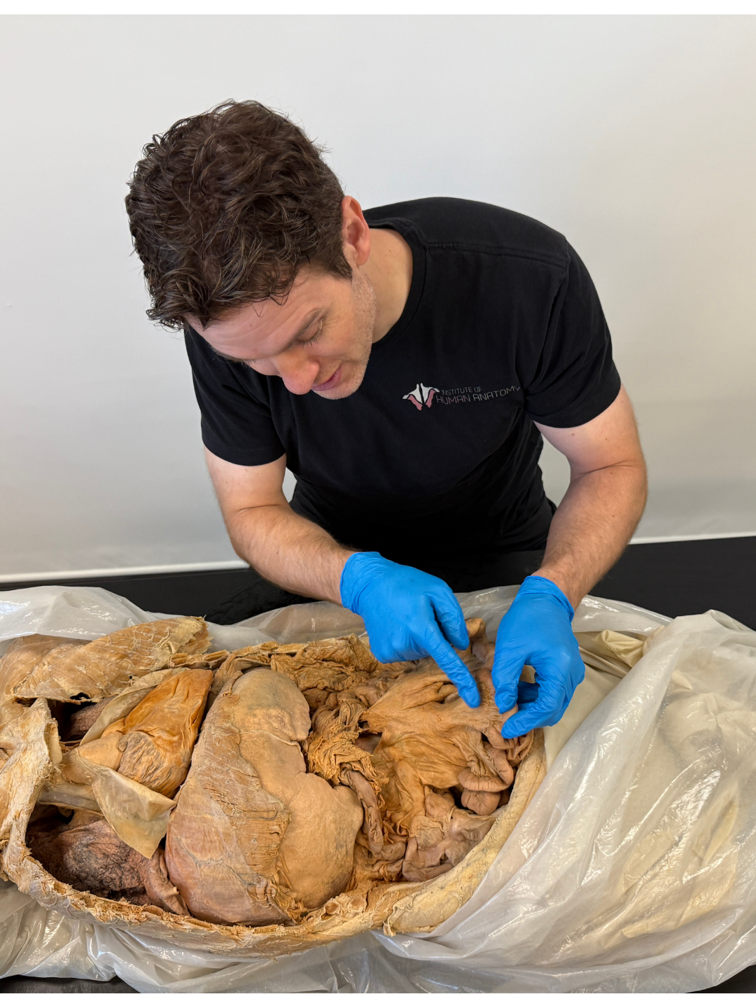 Jonathan Bennion of the Institute of Human Anatomy points to dissected human abdominal organs, including the stomach, liver, and intestines, during a cadaver lab demonstration.