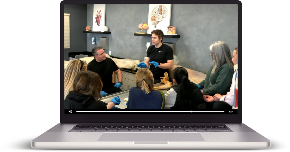 Muscular & Cardiovascular System 2-Hour Workshop