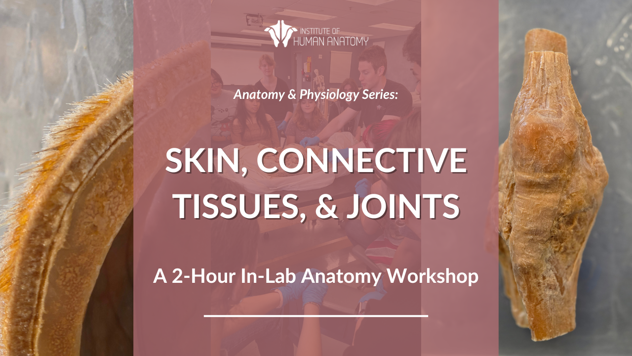 IOHA Skin, Connective Tissues, & Joints 2-Hour In-Person Workshop