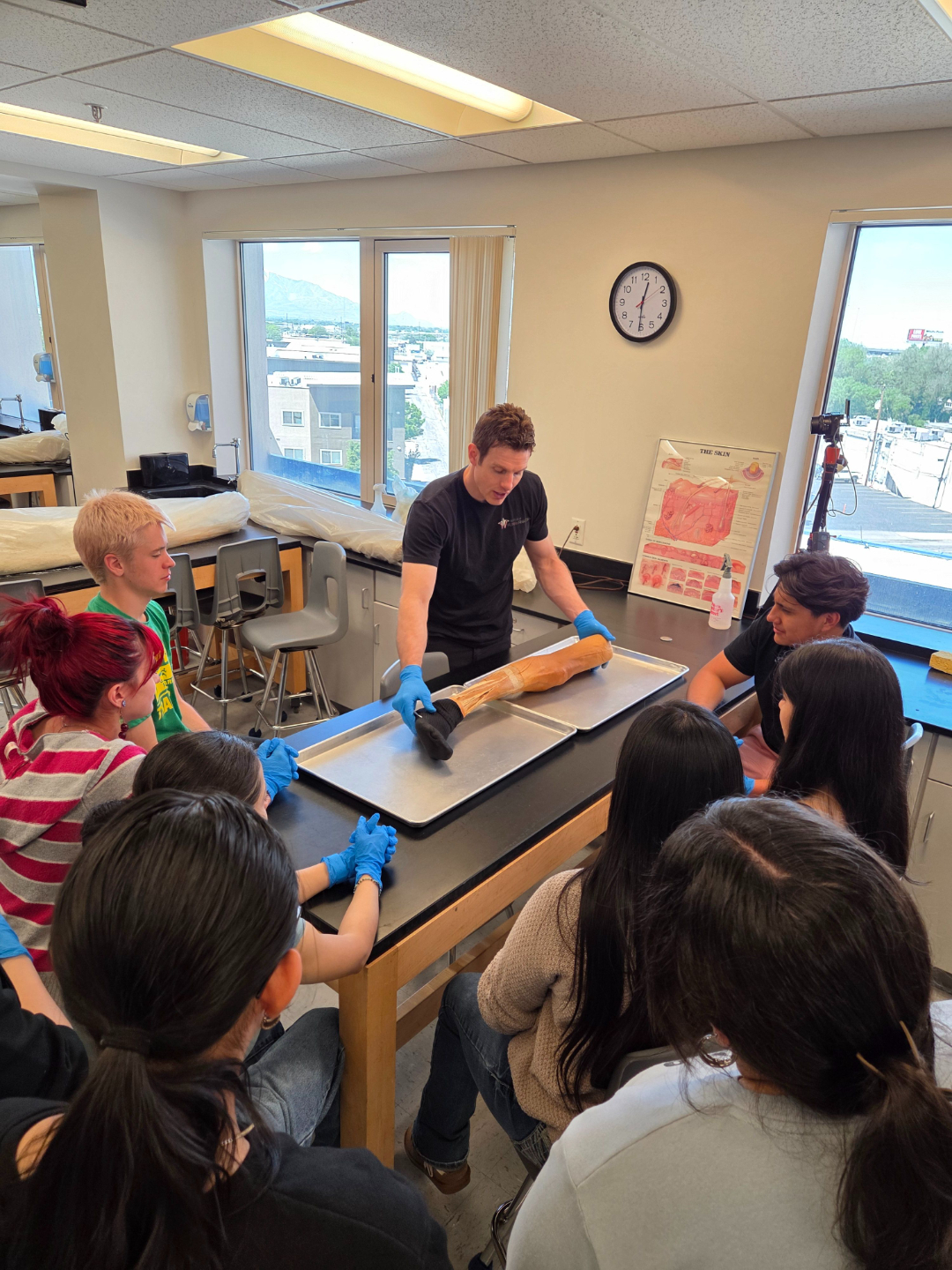 IOHA Muscular and Cardiovascular Systems 2-Hour In-Person Workshop