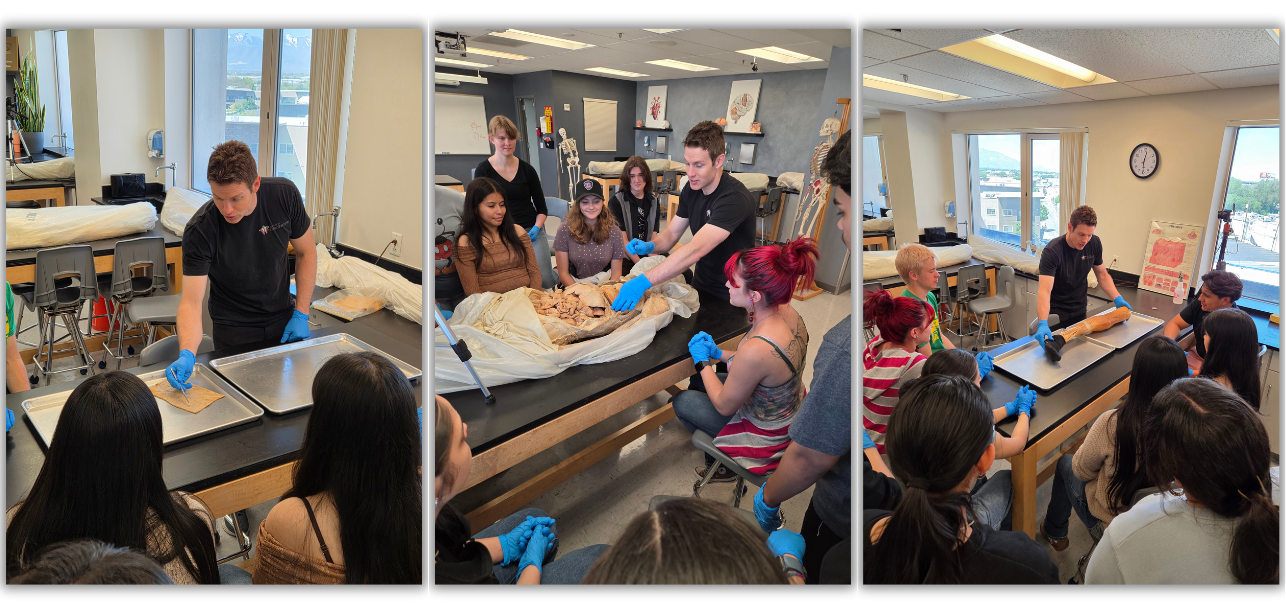 In-Lab Anatomy Workshop Images