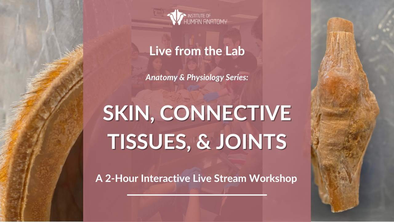 IOHA Live from the Lab: Skin, Connective Tissues, & Joints 2-Hour Workshop