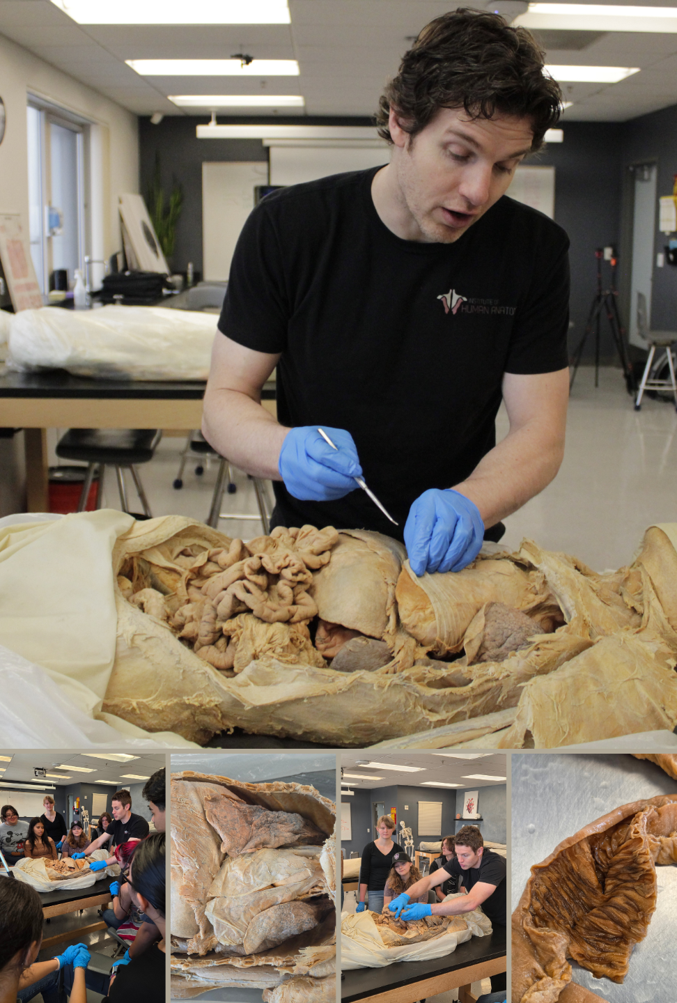 Respiratory and Digestive System 2-Hour Workshop - Institute of Human Anatomy