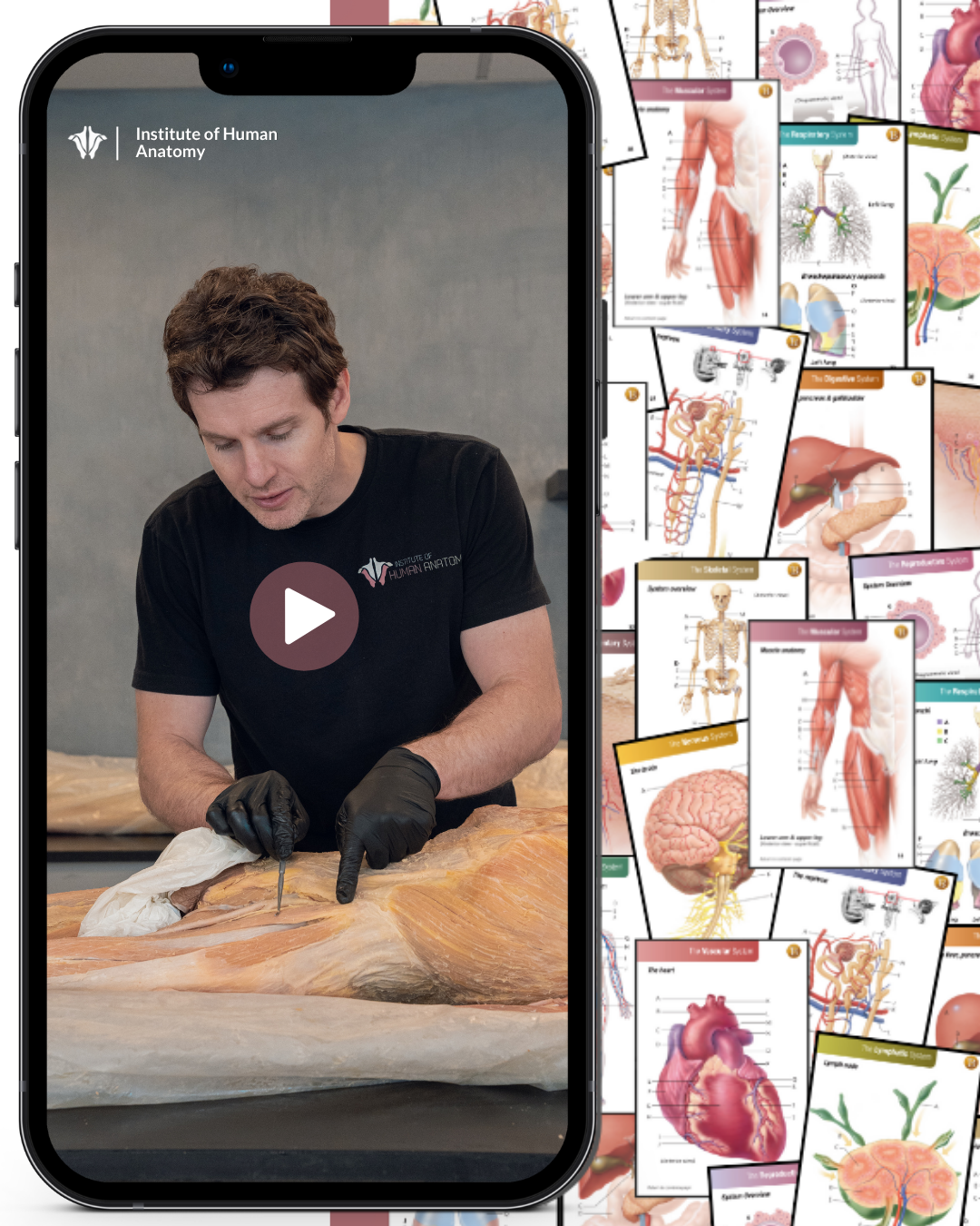 facial anatomy course online