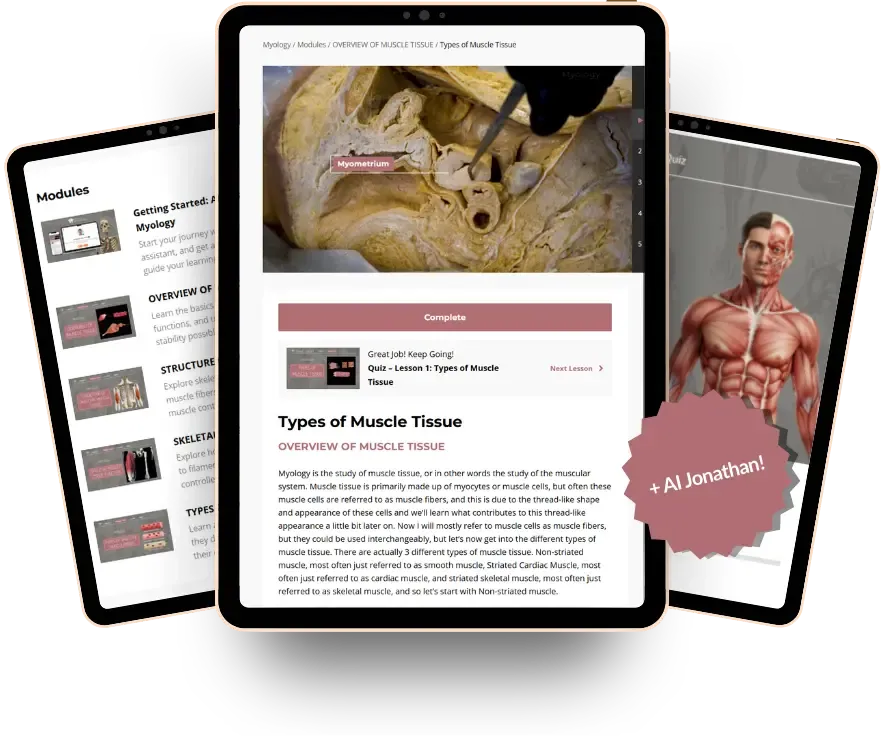 Institute of Human Anatomy - Cardiovascular System Online Course