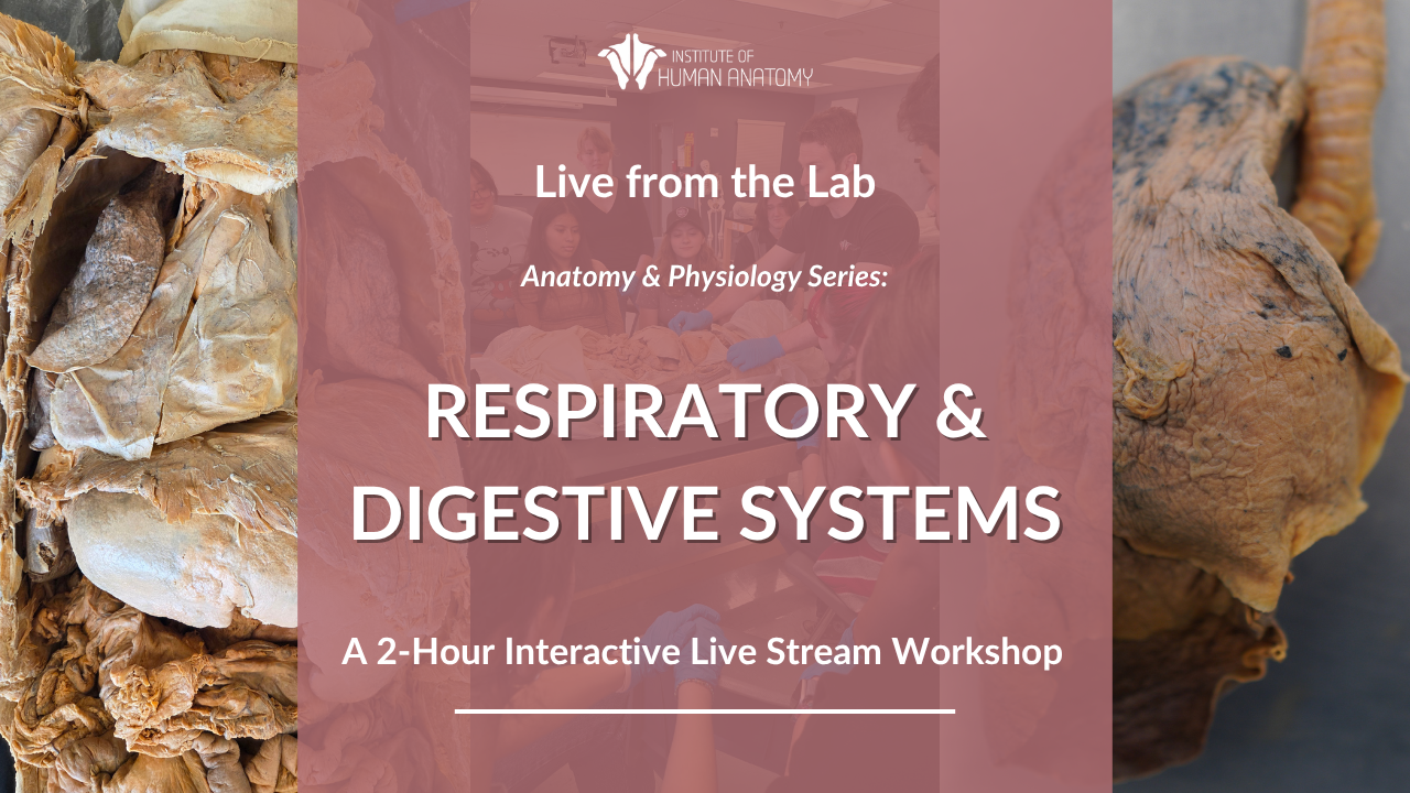 IOHA Live from the Lab: Respiratory & Digestive System 2-Hour Workshop