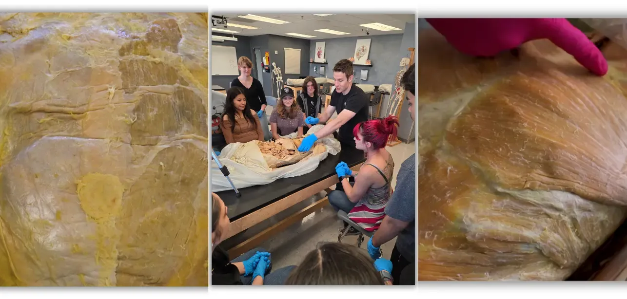 In-Lab Anatomy Workshop Images