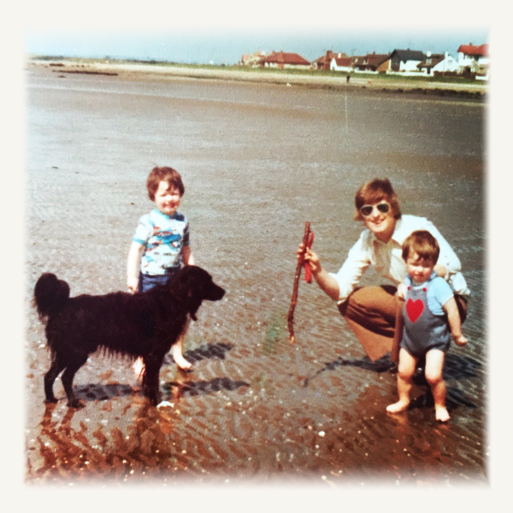 Dog training on beach