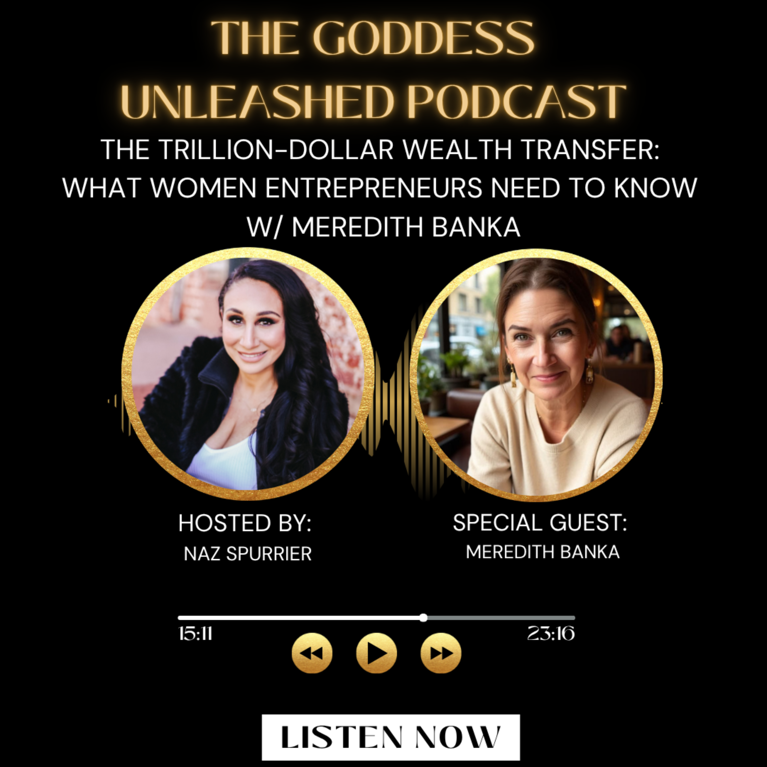 EP. 47 The Trillion-Dollar Wealth Transfer: What Women Entrepreneurs Need to Know w/ Meredith Banka episode artwork