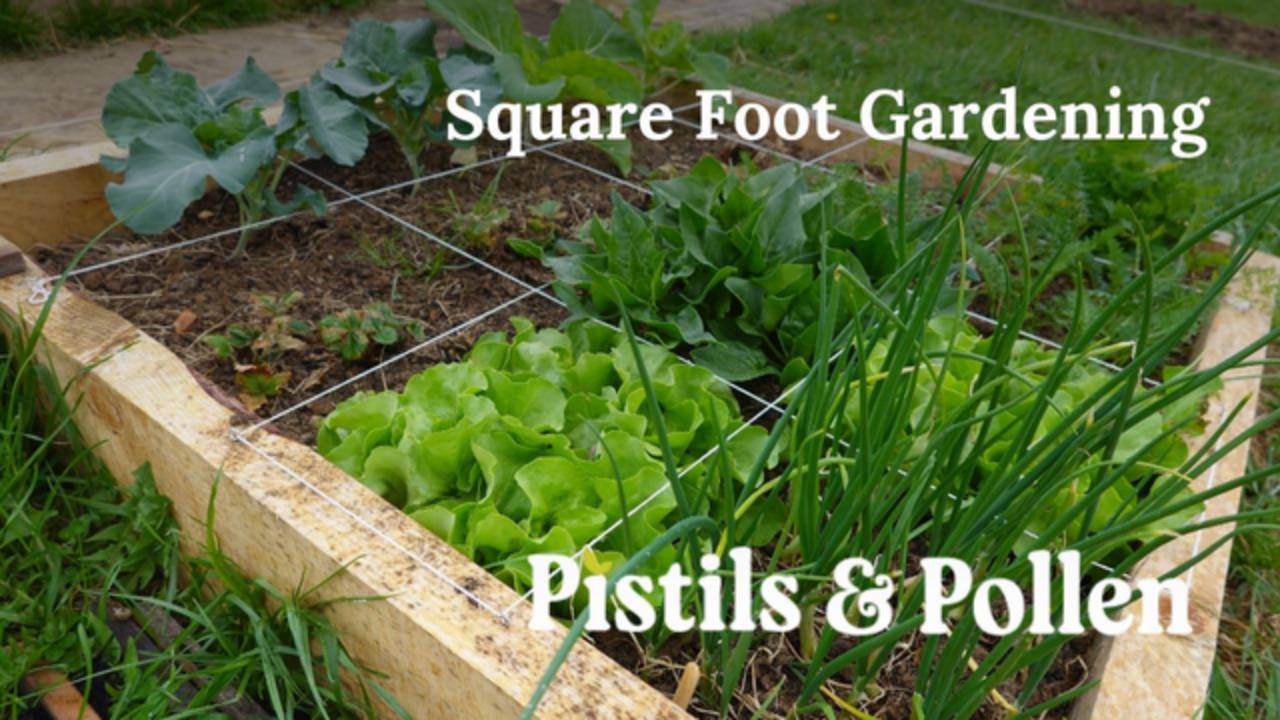 A Beginner's Guide to Square Foot Gardening : Pistils and Pollen, image size:1280x720