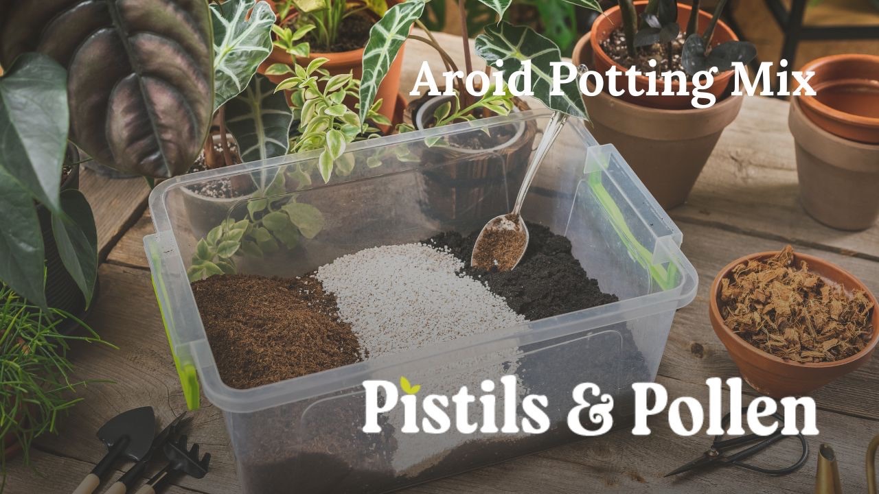 How to Make the Best Potting Soil for Indoor Plants