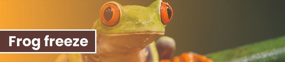 The frog freeze