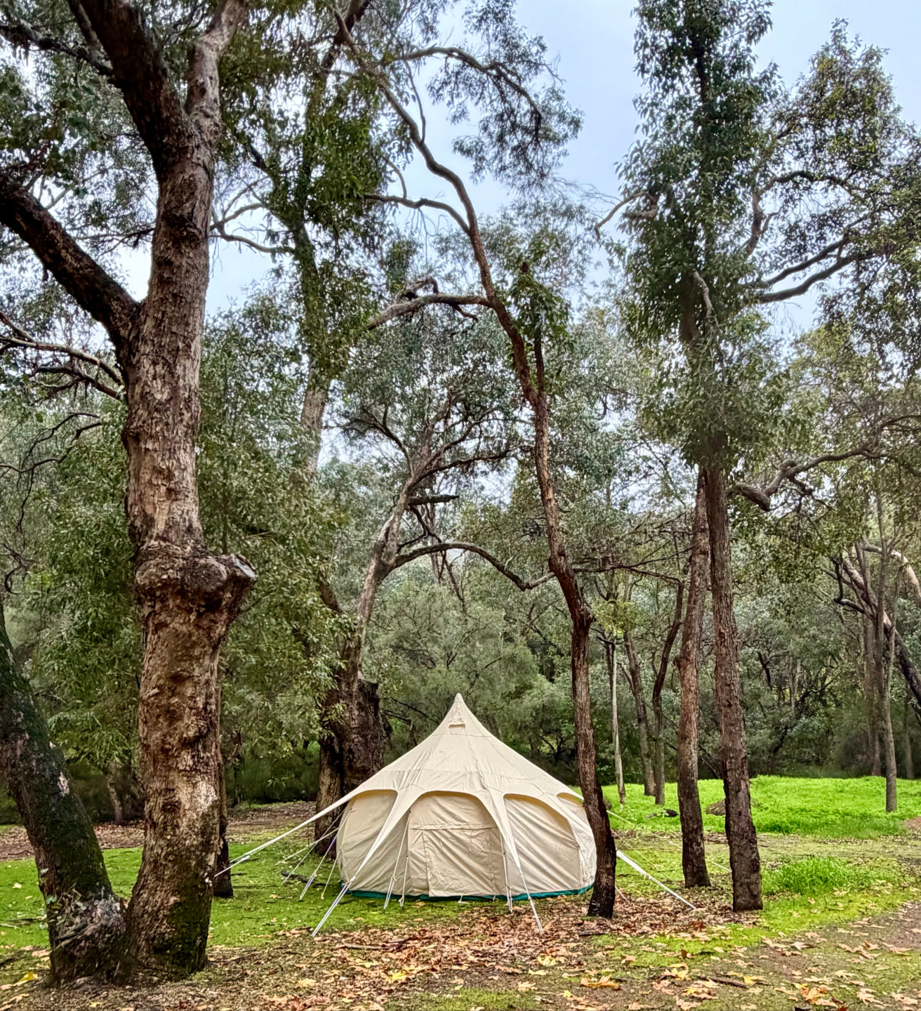 The Lotus Belle tent
