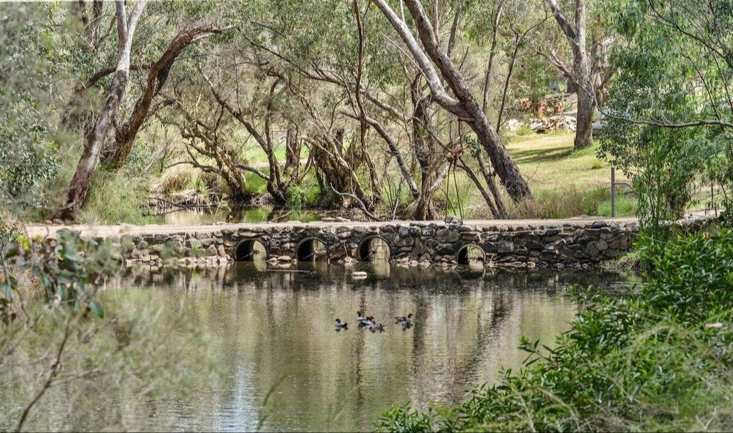 The bridge over the river