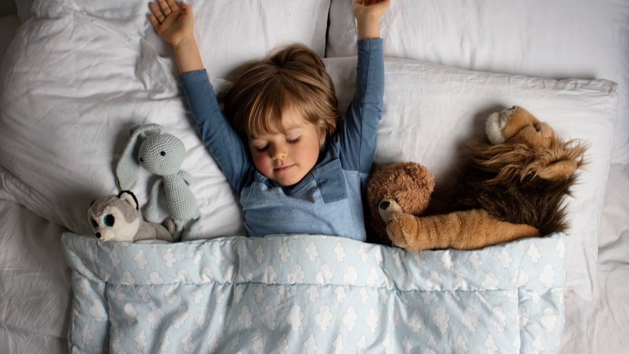 Toddler Sleep & Settling Program