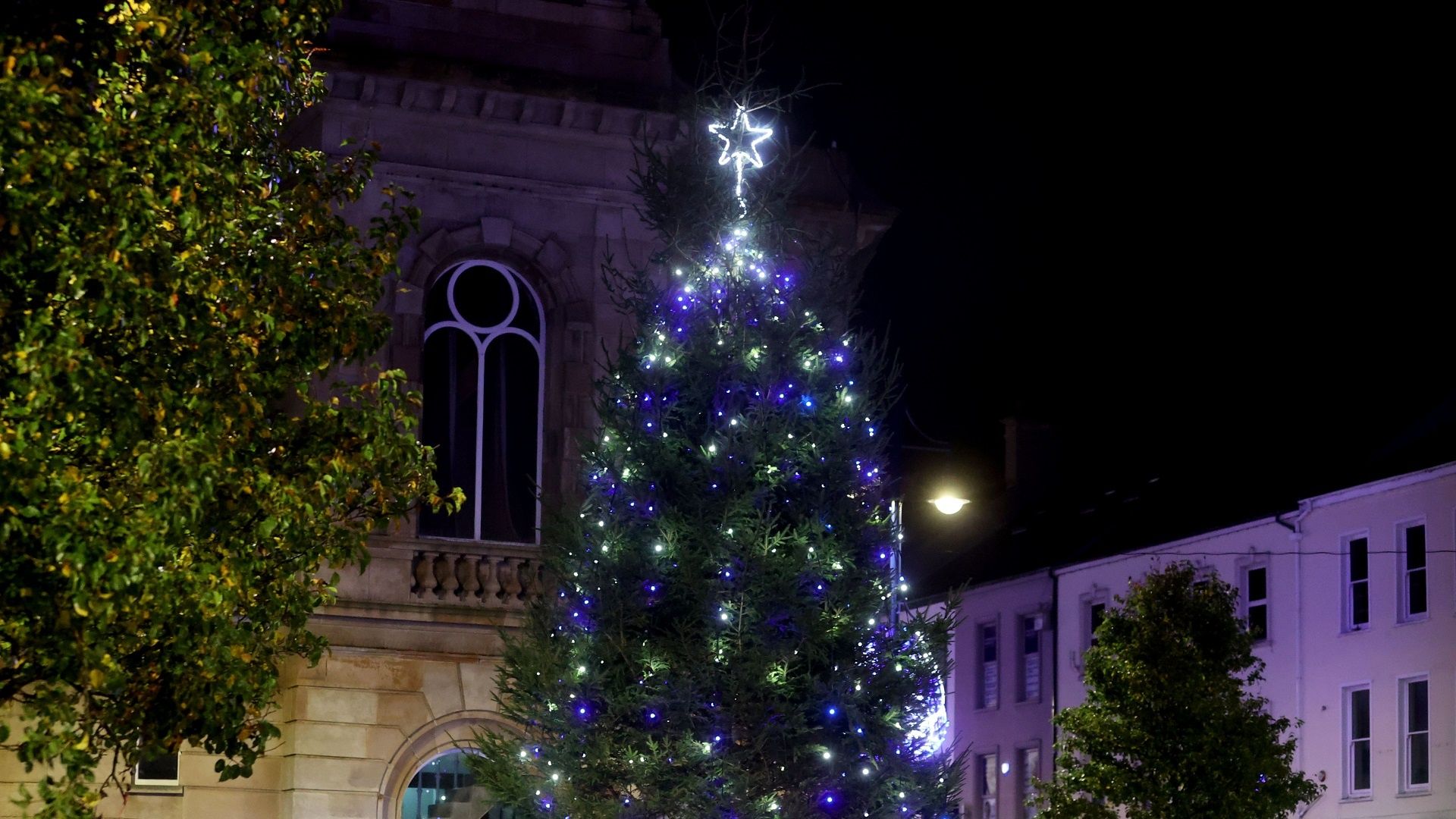 Christmas Trees
