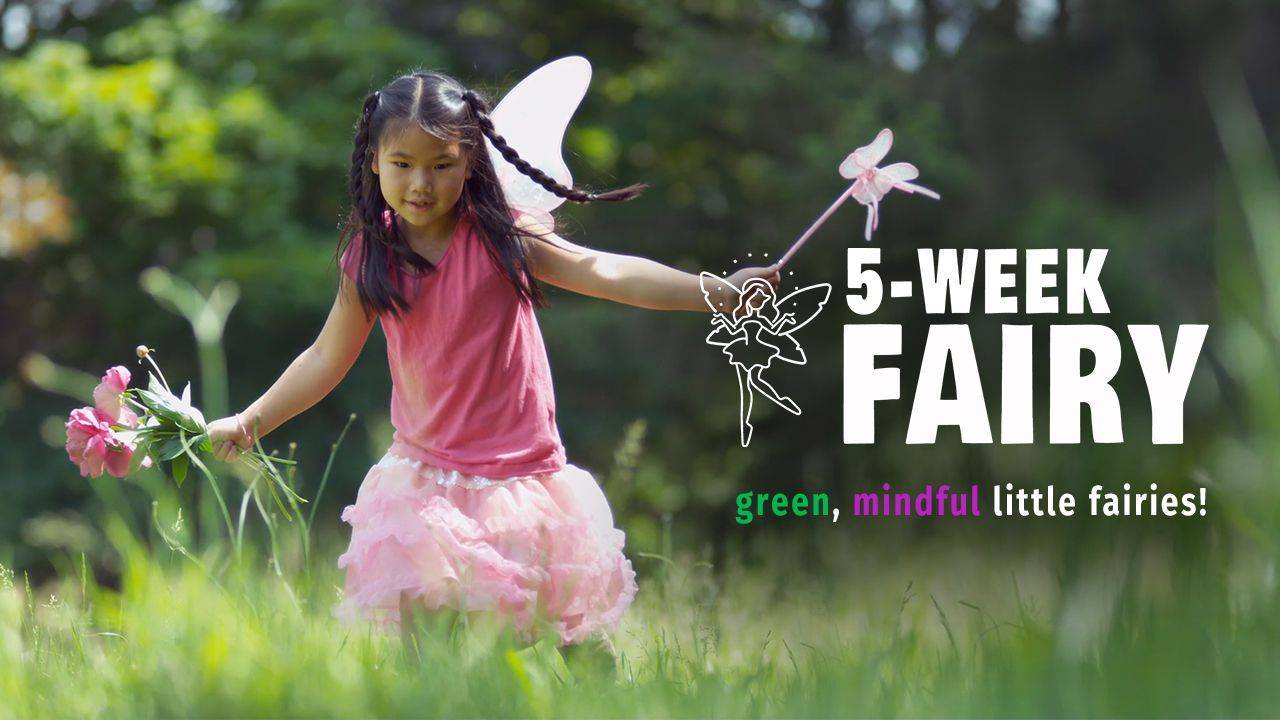 Fairy School's Enchanted Explorers