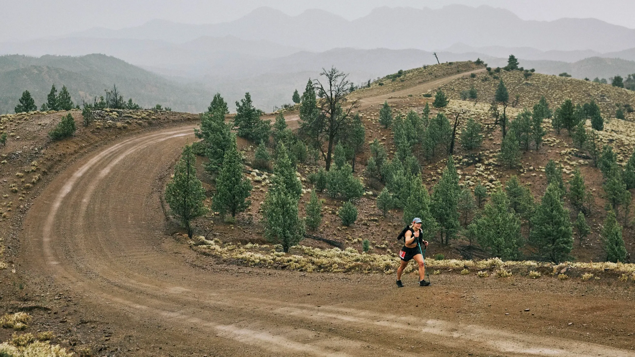 Ikara Ultra 50 Mile training program
